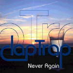 Cover: Never Again